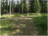 Globasnica / Globasnitz - Veška planina / Wackendorfer Alm